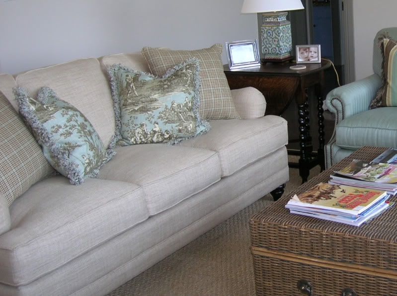 Picture of Couch With Toile Pillows?