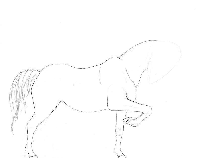 How To Draw A Horse Face. out how to draw the face