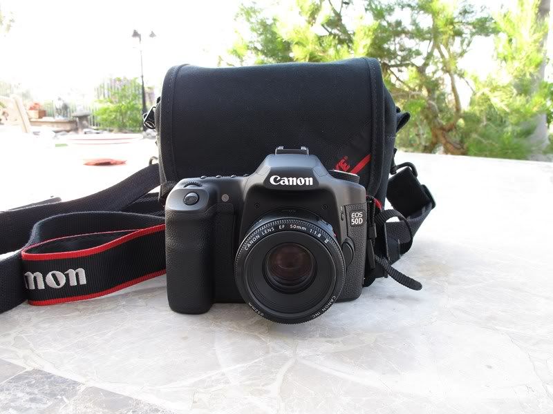 IMAGE: http://i79.photobucket.com/albums/j122/fkim2003/IMG_0931800x600.jpg