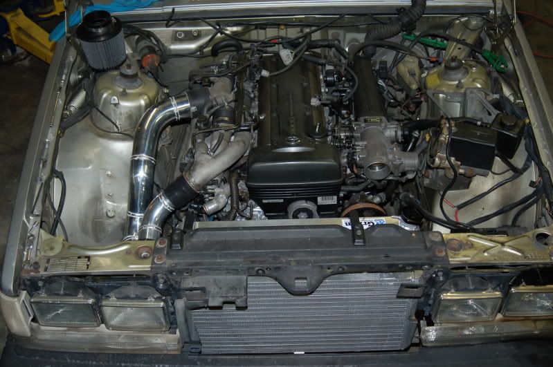 [Image: DSC_0538-2.jpg]