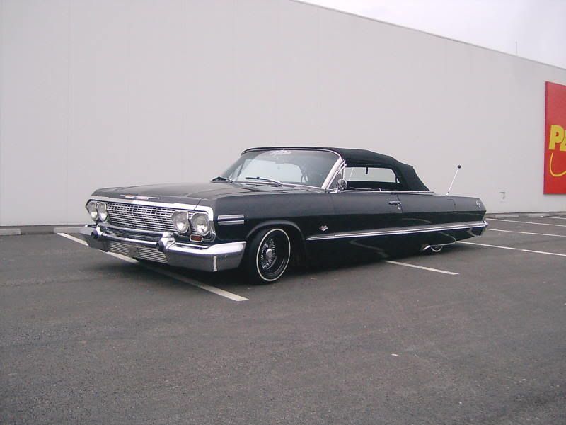 63 IMPALA Pictures Images and Photos