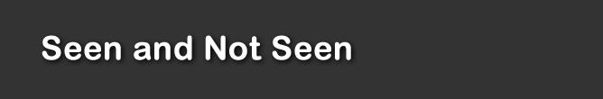 Seen and Not Seen
