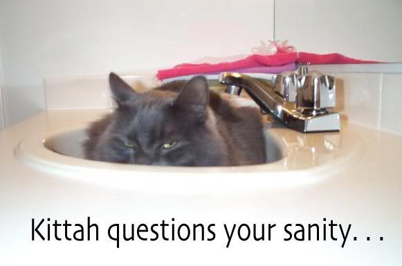 Kittahquestionsyoursanity.jpg