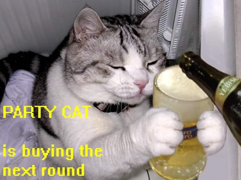 Partycat.jpg