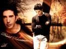 <img:http://i79.photobucket.com/albums/j127/tmlbluedove/aa_david_schwimmer_3.jpg>