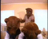 thBearpronF.gif