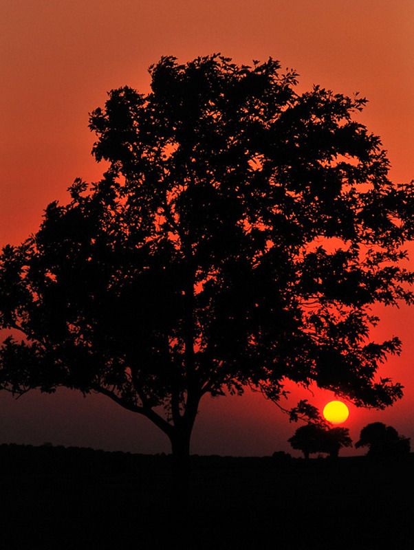 IMAGE: http://i79.photobucket.com/albums/j129/bill500_2006/Nikon/DSC_5929crop_zpsbmcwvmif.jpg