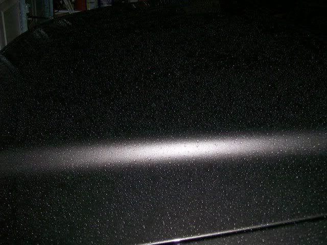 100_0335.jpg