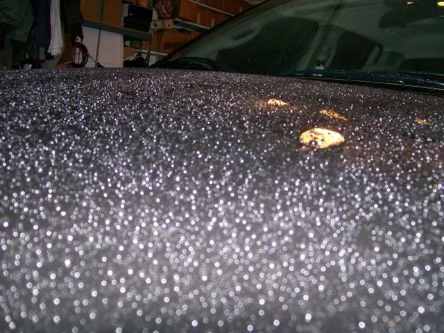 100_0336.jpg
