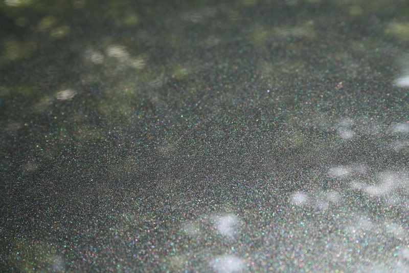 CanonRebel018.jpg