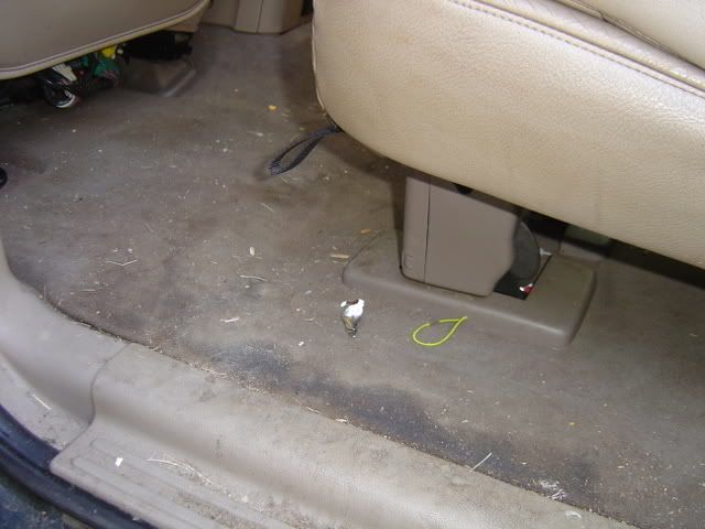 DSC00081.jpg