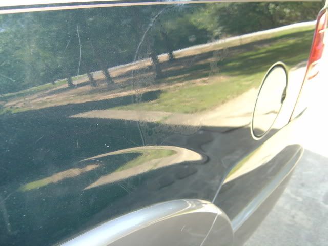 DSC00083.jpg