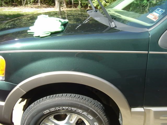 DSC00117.jpg