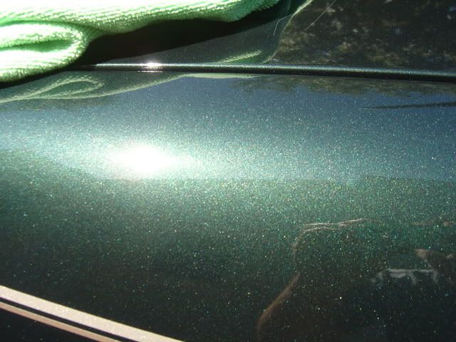 DSC00118.jpg