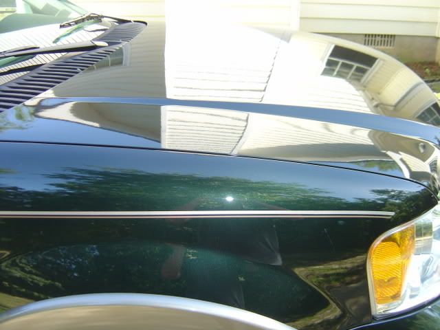 DSC00124.jpg