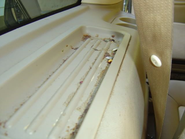 DSC00085.jpg