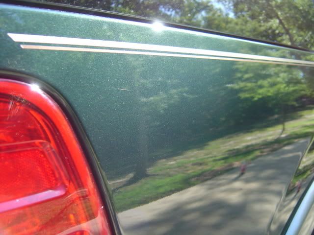DSC00128.jpg