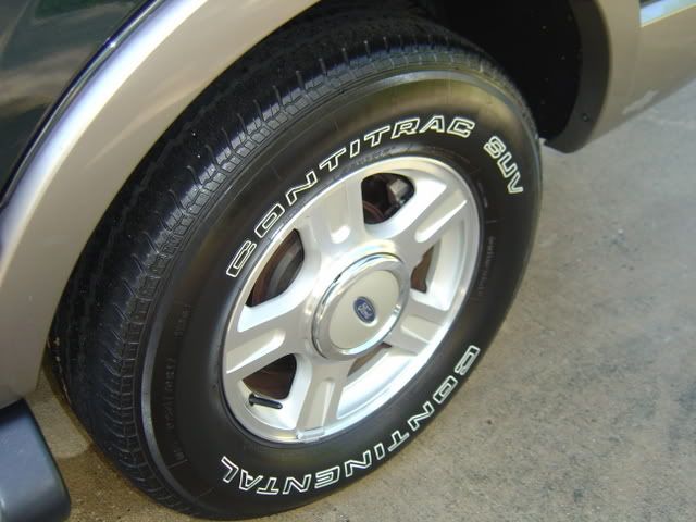 DSC00136.jpg