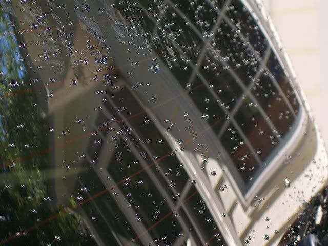 100_2500.jpg