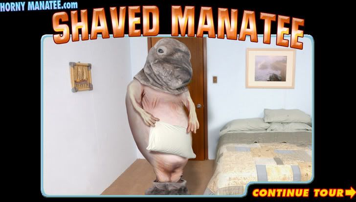 manatee.jpg