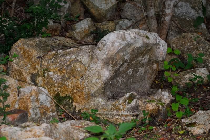 DSC_0079.jpg