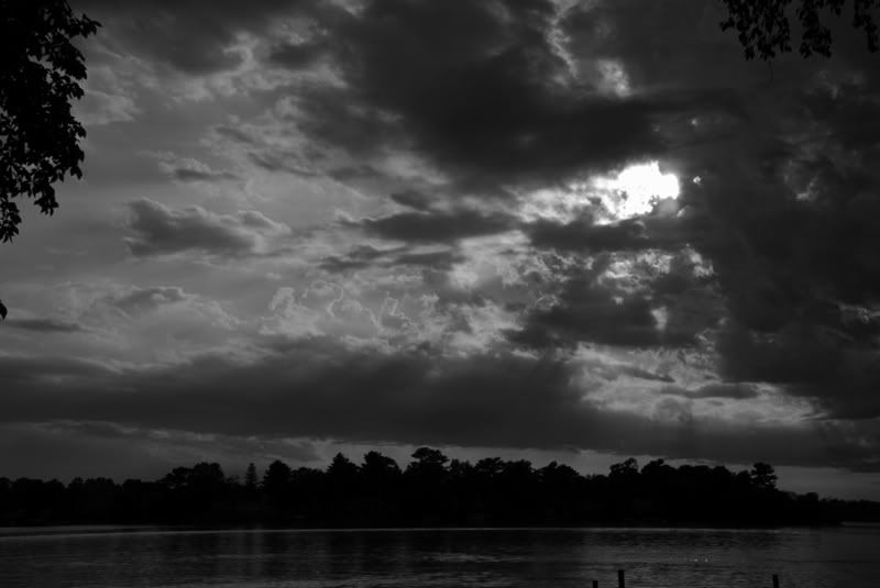 DSC_2885BW.jpg