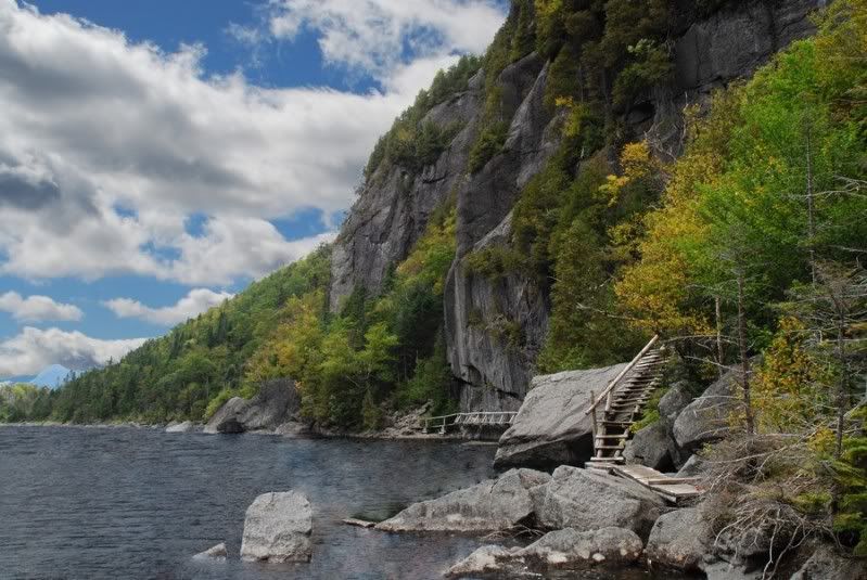 DSC_5449A.jpg