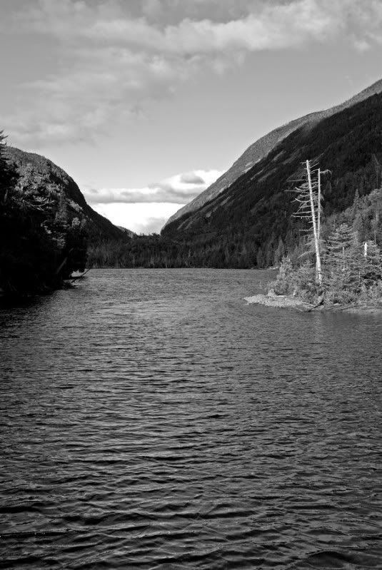 DSC_5485A.jpg