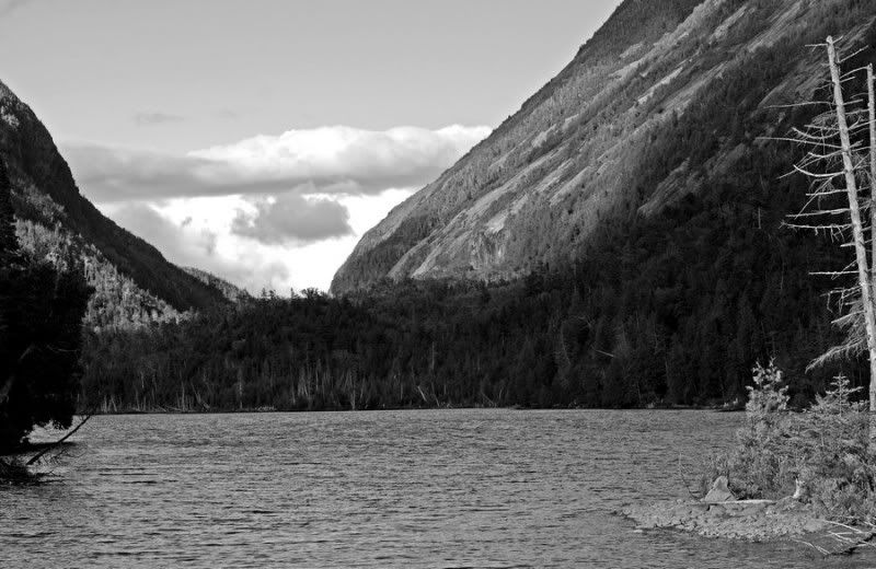 DSC_5495A.jpg