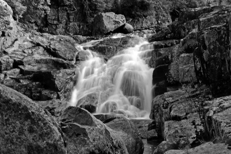 DSC_5531A.jpg