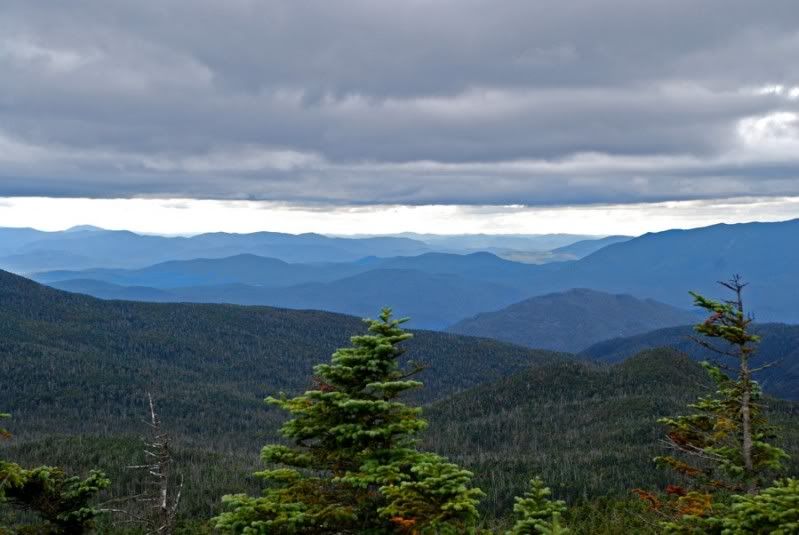 DSC_5555A.jpg