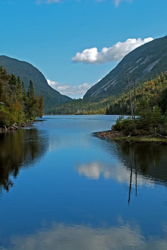 DSC_5577A.jpg