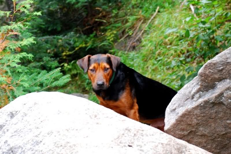 DSC_5593A.jpg