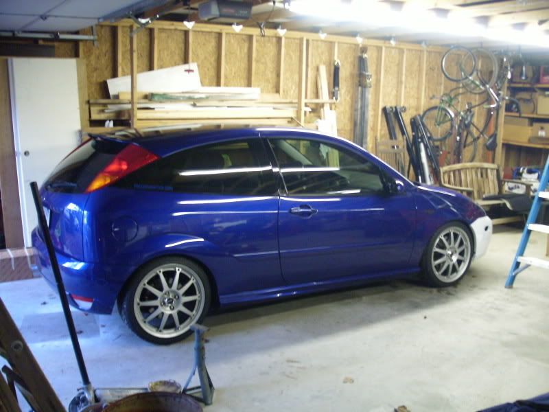 focus coilovers