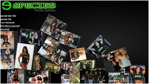 INTERACTIVE FLASH GALLERY