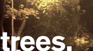 trees they move