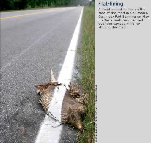 Finish Line