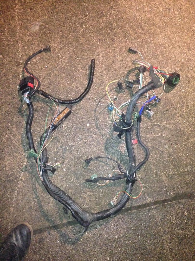 AB6FA8CC-F3BE-4754-B3B2-9008F181839A_zps