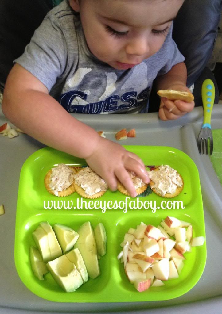 Quick & Healthy Toddler Meal & Snack Ideas