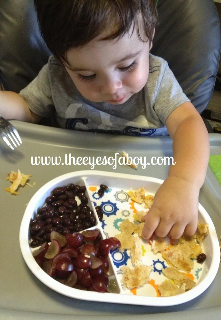 Food for Toddlers - Quick & Healthy Toddler Meal & Snack Ideas