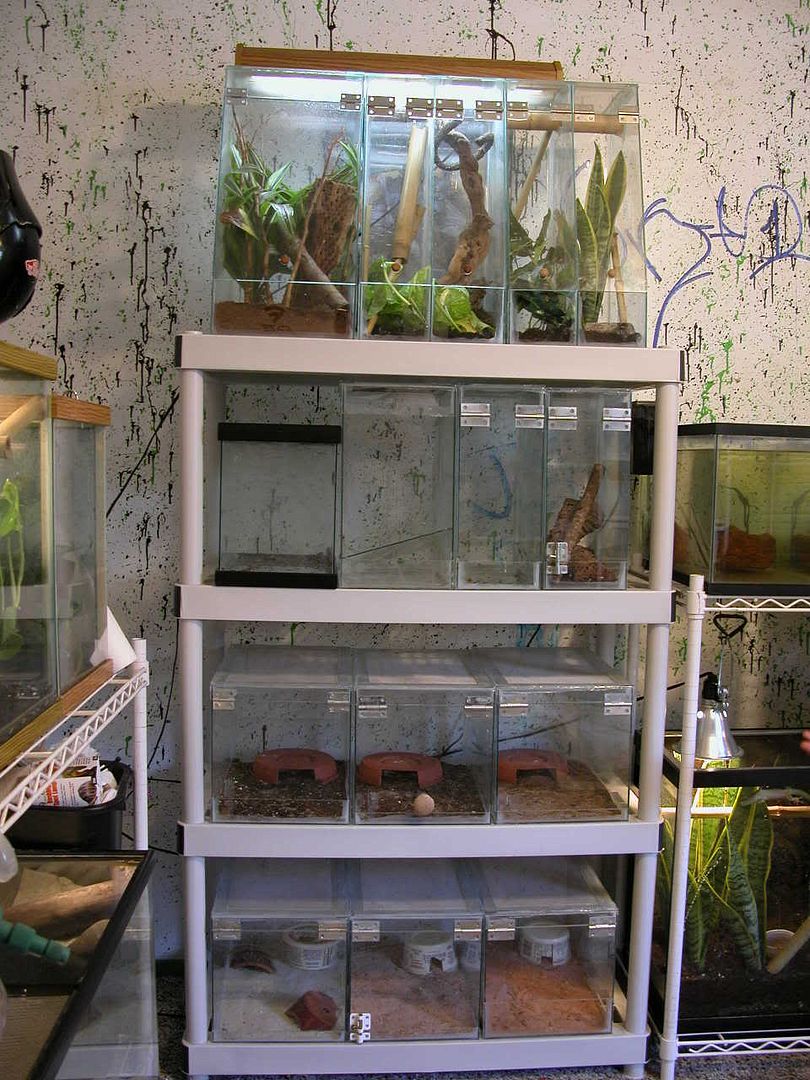DSCN2960.jpg