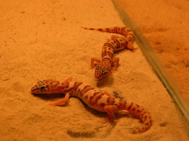 DSCN2984.jpg