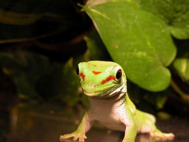 DSCN3054.jpg