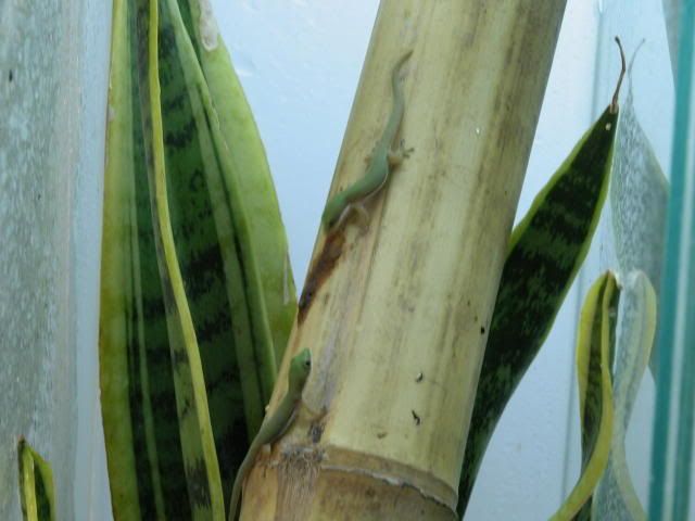 DSCN3295.jpg