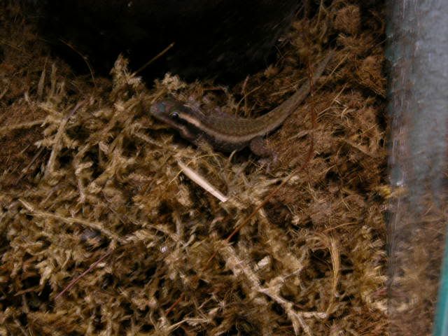 DSCN3772.jpg