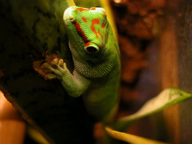 DSCN3786.jpg