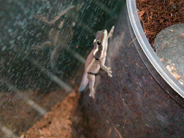 DSCN3842.jpg