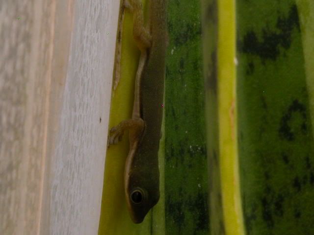 DSCN3847.jpg