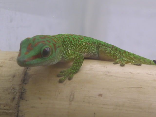 DSCN3854.jpg
