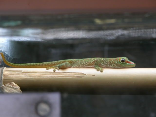 DSCN3857.jpg